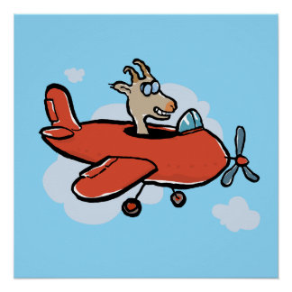 Pôster apenas uma cabra voando num avião