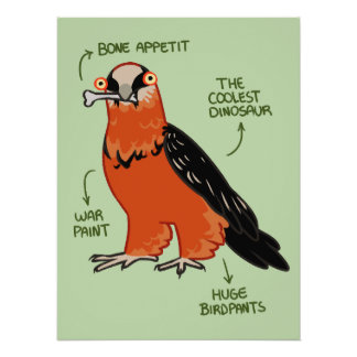 Pôster Apetite Óssea