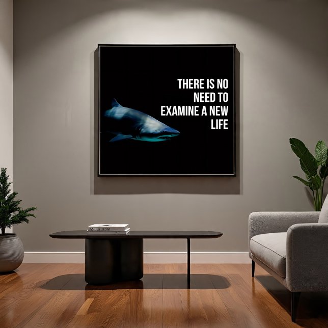 Poster Apex (Criador carregado)