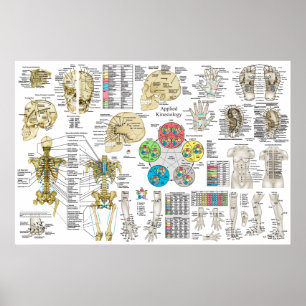 Poster aplicado do osteopata da quiroterapia do