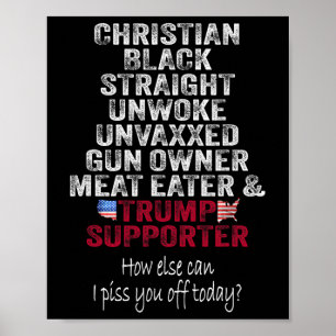 Poster Apoiador negro cristão heterossexual do Trump não
