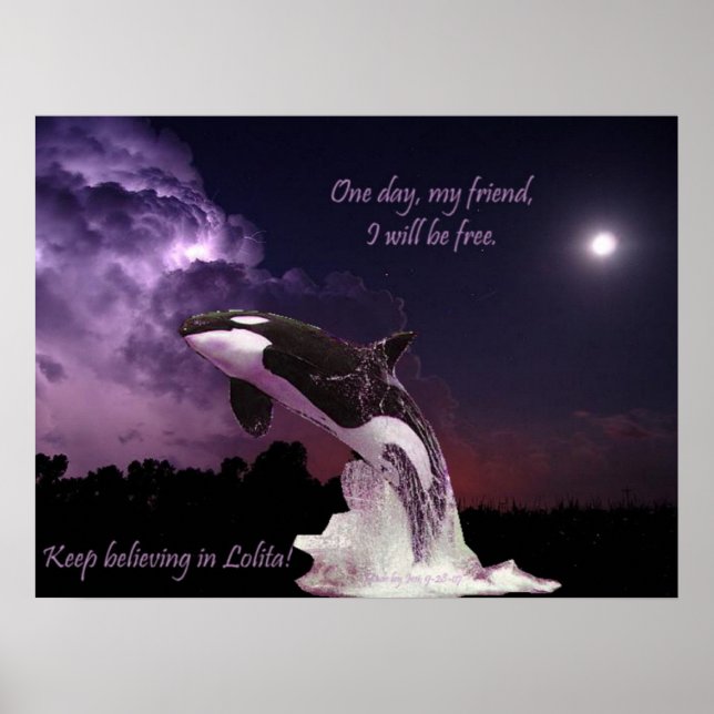 Pôster Apoie a Lolita Poster! (Frente)