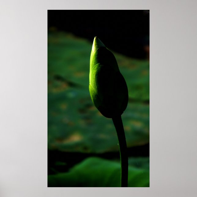 Pôster Apontado para a grandeza (Frente)