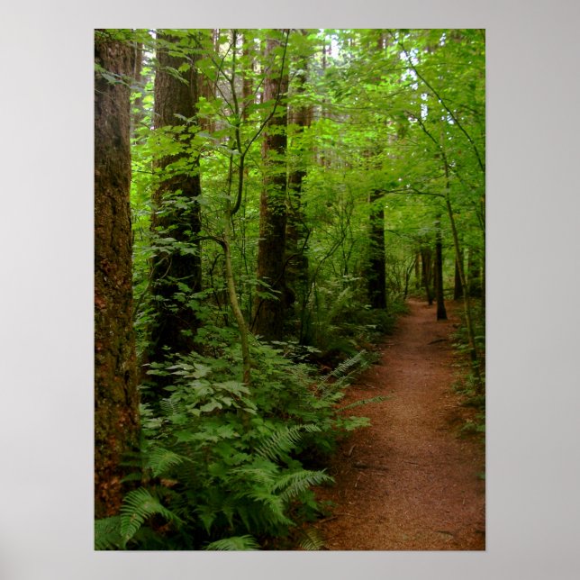 Poster após a chuva (Frente)