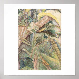 Poster Após A Chuva © 2010