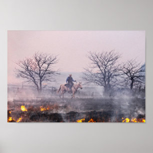 Poster Após o fogo da pradaria, colinas do sílex, Kansa