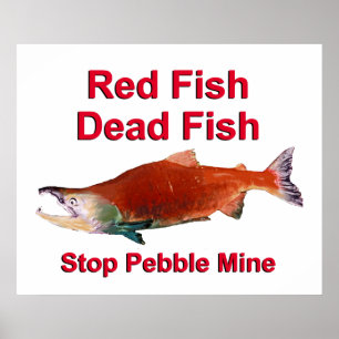 Pôster Após o Salmão - Parar o Pebble Mine