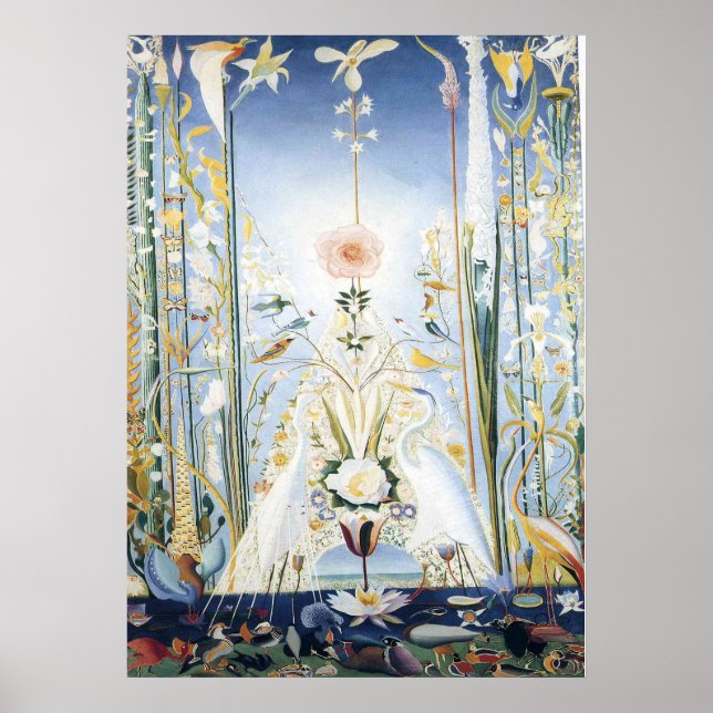 POSTER APOTISE DE ROSA (Frente)