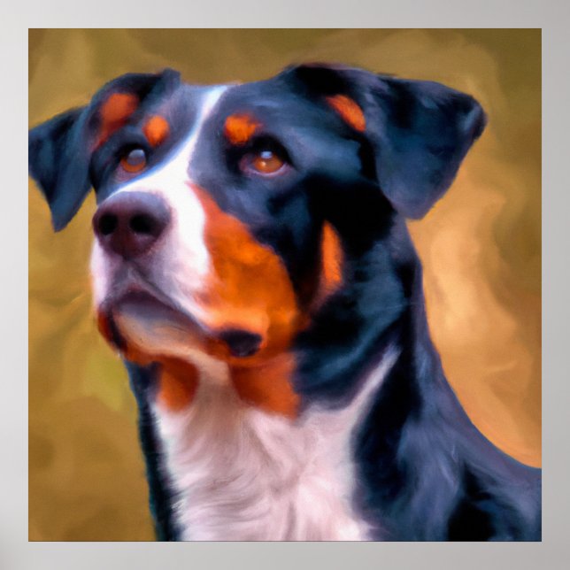 Poster Appenzeller Sennenhund - Retrato De Cachorro (Frente)