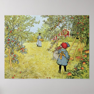 Pôster Apple colhe