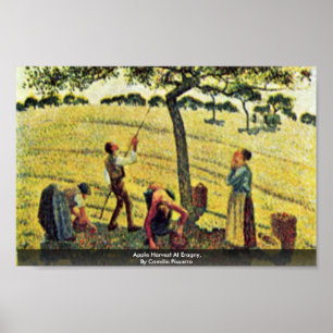 Pôster Apple colhe em Eragny, por Camille Pissarro
