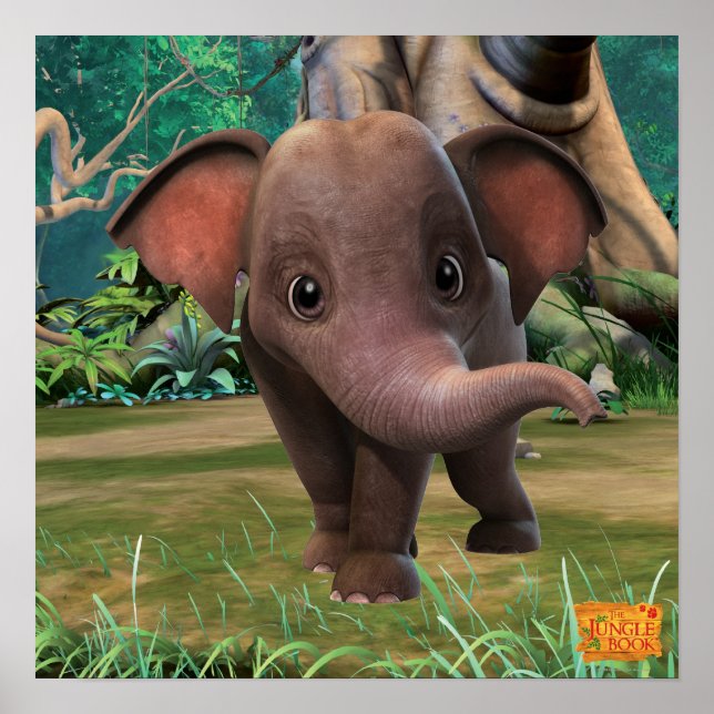 Pôster Appu 2 (Frente)