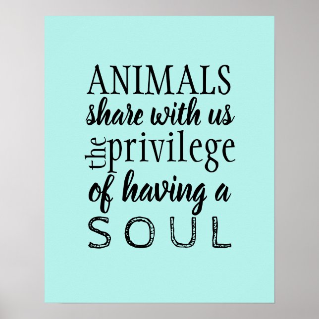 Poster Apreciação animal (Frente)