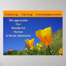 Pôster Apreciamos Enfermeiras Maravilhosas que CNAs Enfer