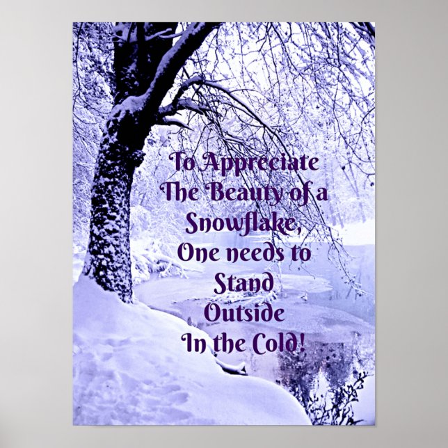 Poster Apreciar a Beleza de um Floco de Neve (Frente)