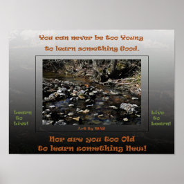 Poster Aprenda a viver ao vivo para aprender 2