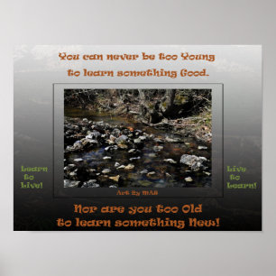 Poster Aprenda a viver ao vivo para aprender 2