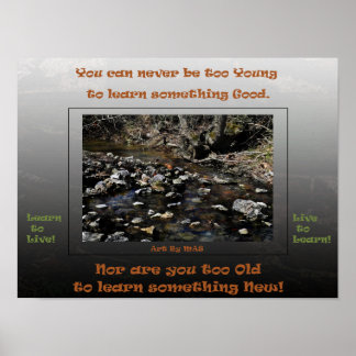 Poster Aprenda a viver ao vivo para aprender 2