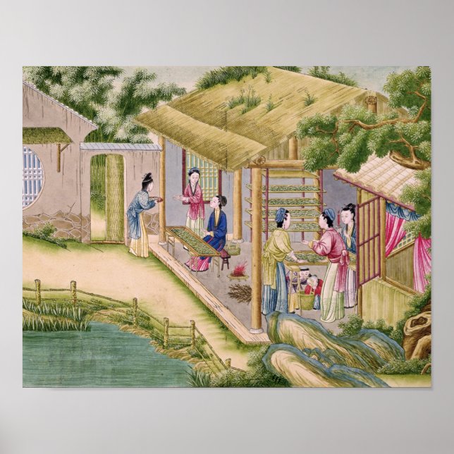 Pôster Aprendendo sobre os bichos-da-seda (Frente)