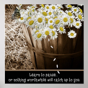 Pôster Aprender a Pausar