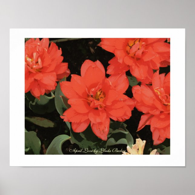 Pôster April Love por Linda Becker (Frente)