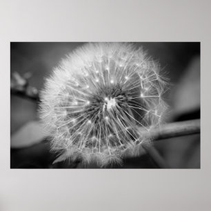 Poster Apronte para descolam!!!