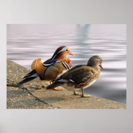 Poster Aproveitando uma noite tranquila!