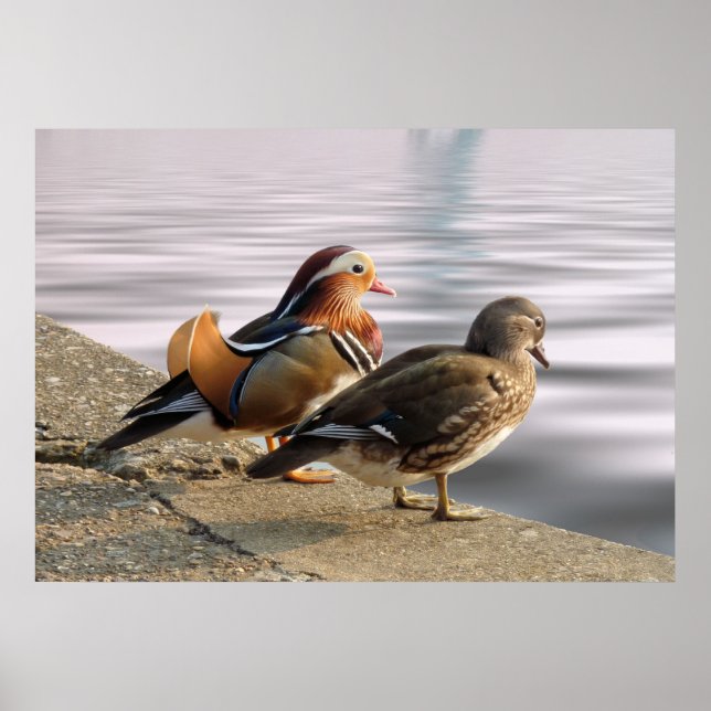 Poster Aproveitando uma noite tranquila! (Frente)