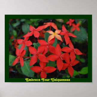 Poster Aproveite a sua exclusividade