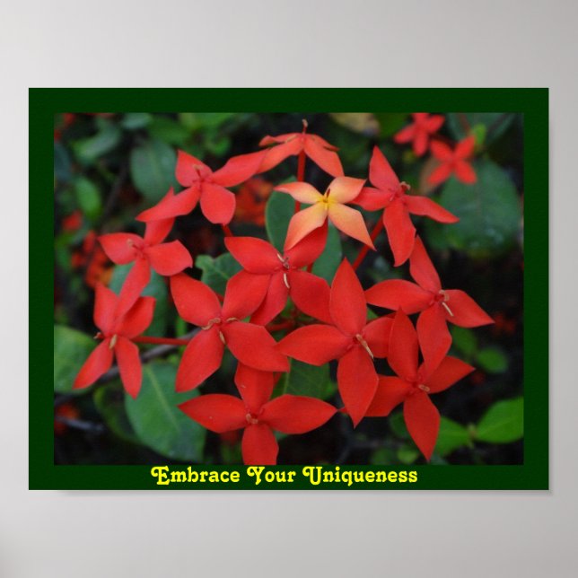 Poster Aproveite a sua exclusividade (Frente)