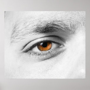 Poster Aproximação dos olhos humanos