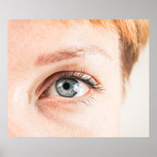 Poster Aproximação dos olhos humanos