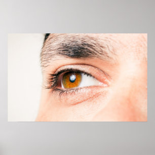 Poster Aproximação dos olhos humanos