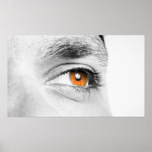 Poster Aproximação dos olhos humanos