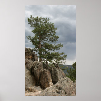 Poster Aproximando-se da Tempestade