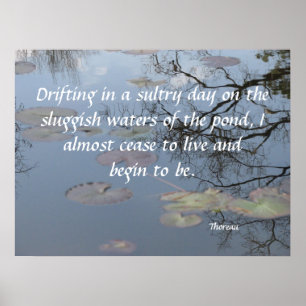 Pôster Aproximando-se do Pond