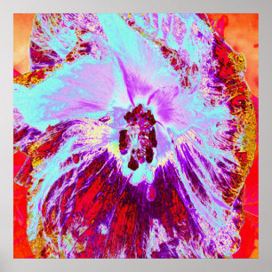 Poster Aqua tropical abstrato e flor de hibisco roxa