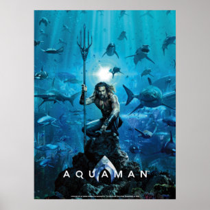 Poster Aquaman   Prince Orin Com Animais Aquáticos