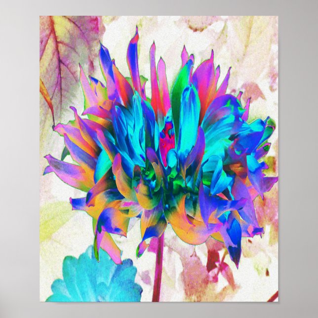 Poster Aquarela Atormentada Rainbow Cactus Dahlia (Frente)