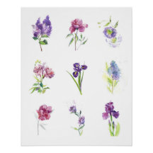 Aquarela Botânica Nove Flores da Primavera