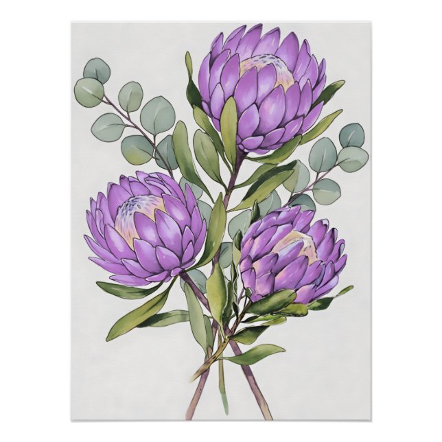 Pôster Aquarela Botânica Protea Lavanda (Frente)