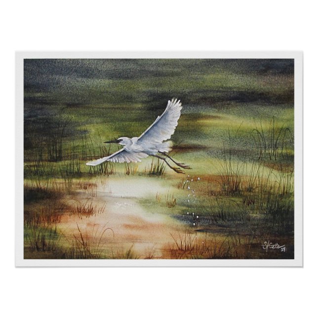 Pôster Aquarela da Garça Branca (Frente)