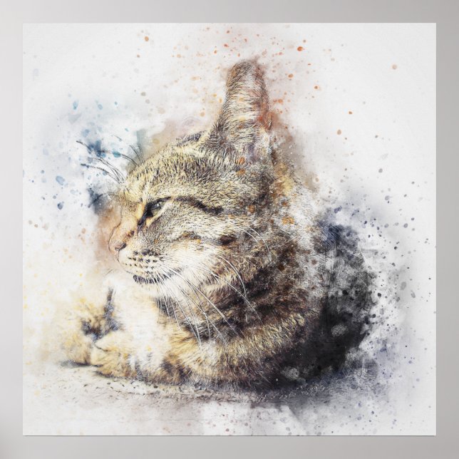 Poster Aquarela de gato (Frente)