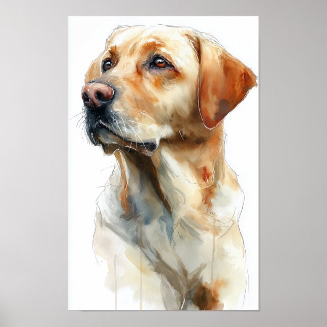 Poster Aquarela de labrador retriever amarelo (Frente)