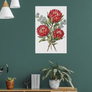 Poster Aquarela do Buquê de Protea Carmesim