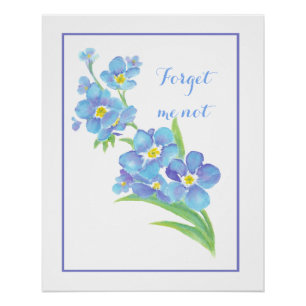 Pôster Aquarela Esqueça-me, não flor, azul Bonito