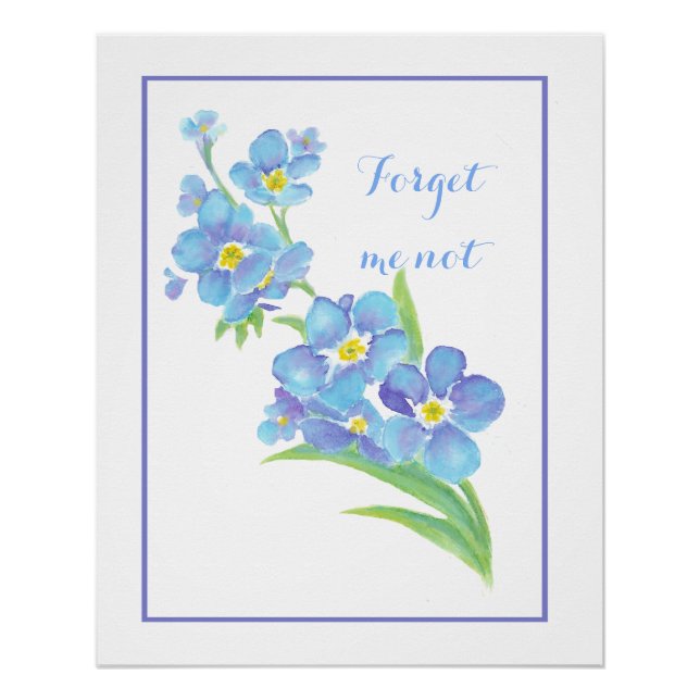 Pôster Aquarela Esqueça-me, não flor, azul Bonito (Frente)