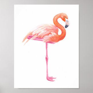 Pôster Aquarela Flamingo