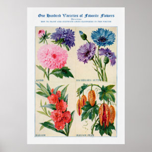 Poster Aquarela Flor