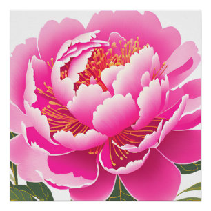 Pôster Aquarela Floral Rosa